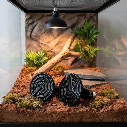 500x500